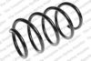 LESJ?FORS 4072979 Coil Spring